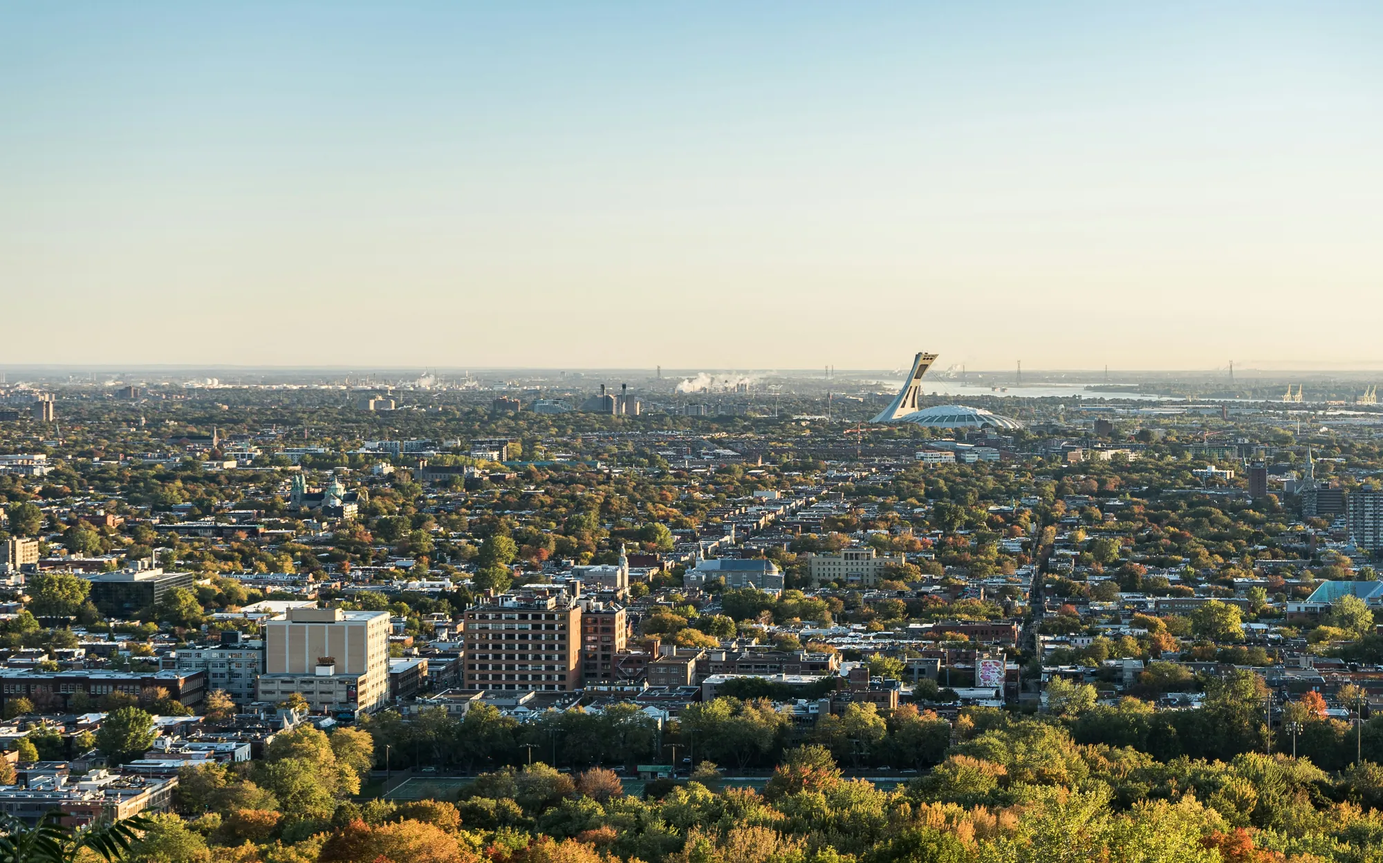 Montréal in autumn from Mount Royal, looking east toward the Olympic Stadium